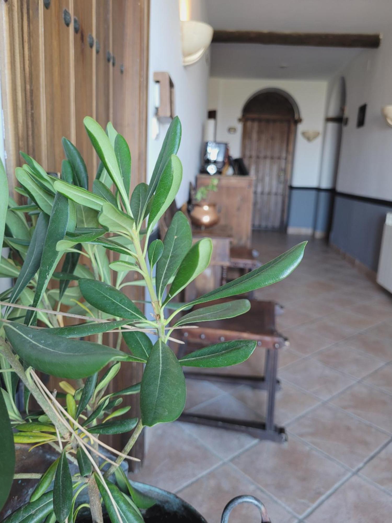 El Balcon De Nieves Hotel 3*