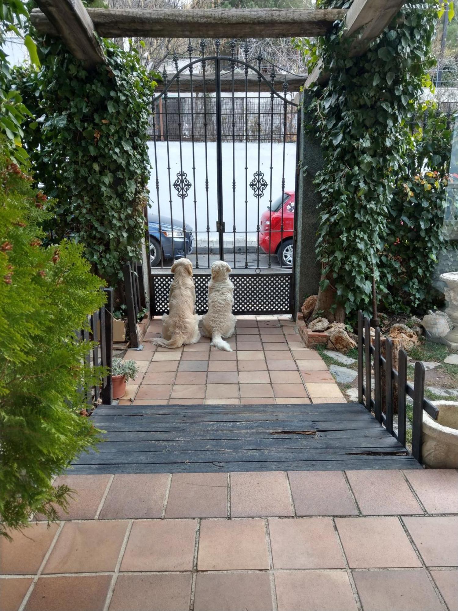Hotel El Balcon De Nieves 3*