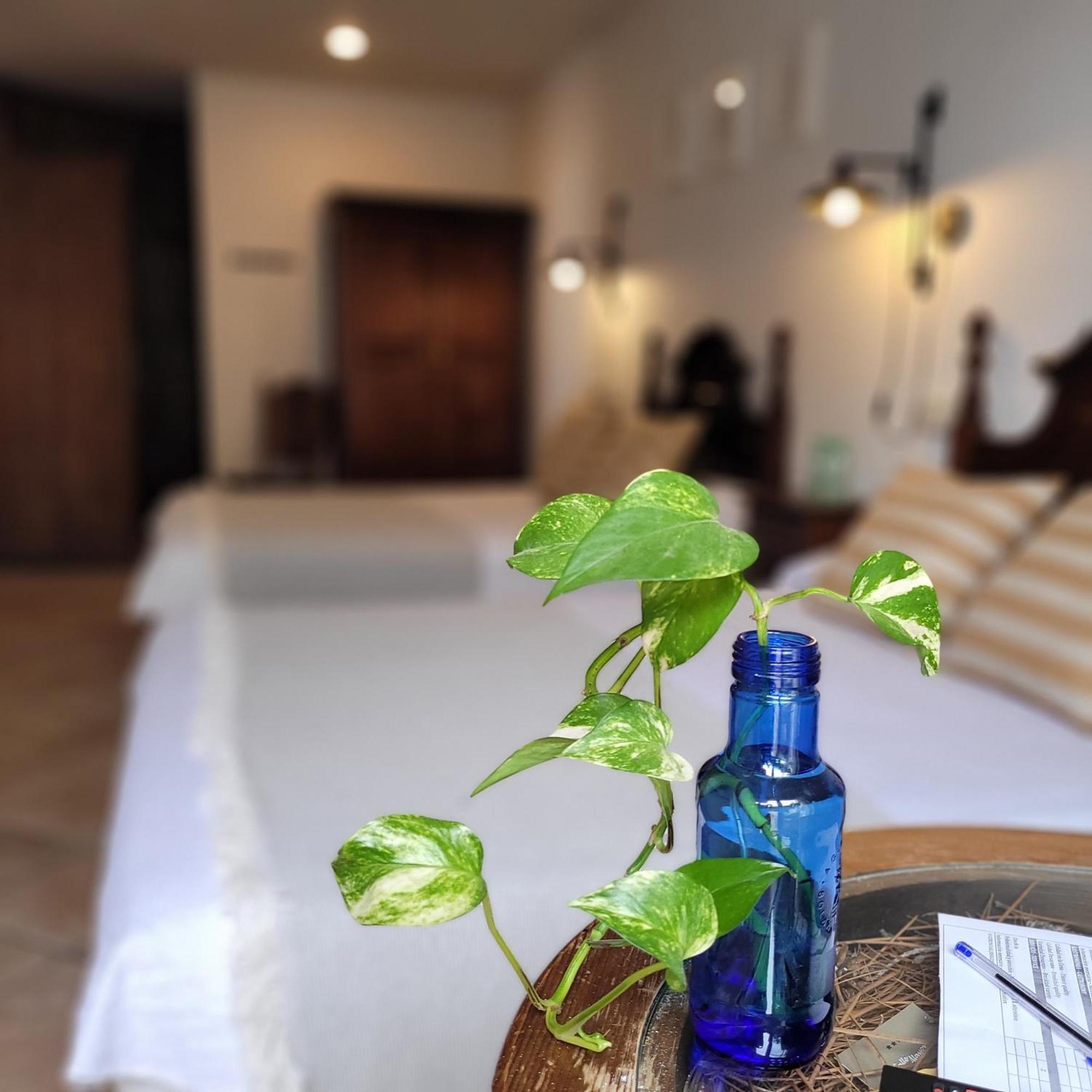 Hotel El Balcon De Nieves 3*
